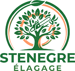 elagage-stenegre-elagage